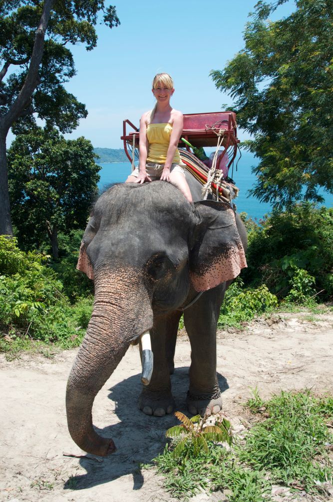 Elephant pic Smaller