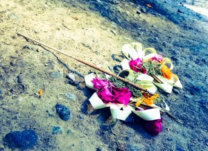 Ubud Flower Offering-2