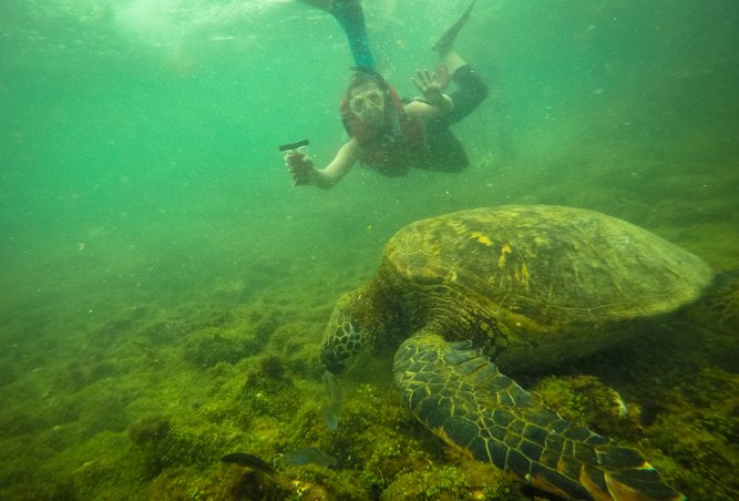 DCIM100GOPROGOPR0397.