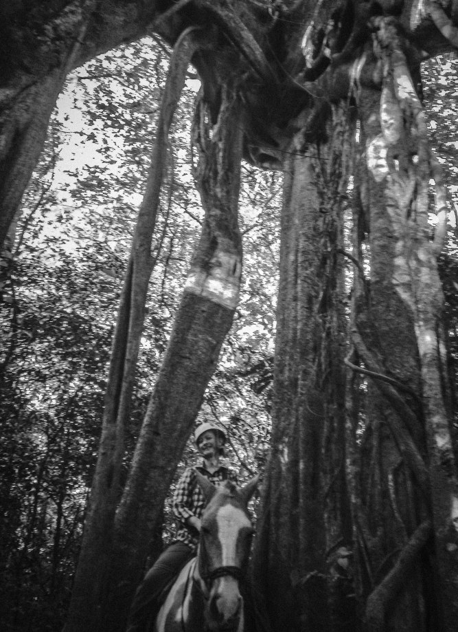 Me, Pinto and Ficus Tree-1