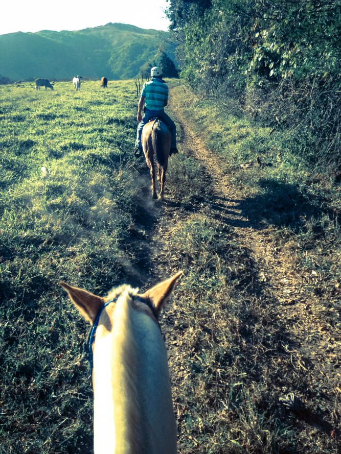 Me, Pinto and Jose-2